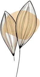 a drawing of a flower with a white background 3.jpg